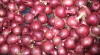 Onion prices spiral despite fall in wholesale market