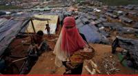 Desperation driving Rohingya to traffickers, UN envoy warns