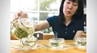 EU warns about green tea supplements