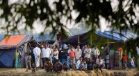 Rohingyas flee as repatriation day draws near