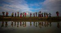 Myanmar prepares for first Rohingya returnees