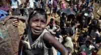 War crimes prosecutor begins examining alleged Rohingya deportations