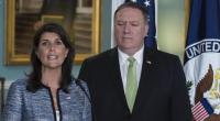 US quits 'hypocritical' UN human rights council