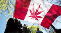 Canada legalises recreational marijuana use