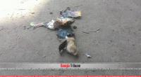 Blasts in Narayanganj, three BNP leaders held