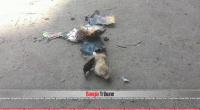 Rajshahi rally bombings: Police obtain audio of BNP leaders’ conversation