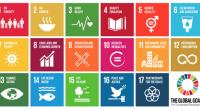 Govt developing 1.5m people’s skill to achieve SDGs