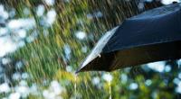 Met office forecasts heavy rainfall