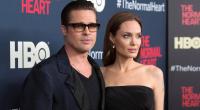 Angelina Jolie, Brad Pitt reach child custody agreement : Lawyer