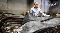 Wholesale merchants agree to sell hides to tanners