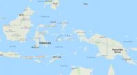 Eight dead, one survivor in Indonesian plane crash