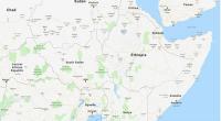 At least 40 killed by paramilitaries in eastern Ethiopia: Official