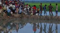 UN seeks $920m for Rohingya crisis in 2019