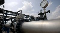 Gas prices hike scrapped as LNG to be subsidised