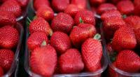 Australia offers $70,000 reward as strawberries sabotaged with needles