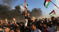 Seven Palestinians killed in border protests