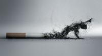 Tobacco possesses greater health risk to children
