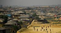 US Senator supports Bangladesh move on Rohingya