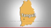 Man dies in Tangail road accident