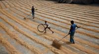 Govt asked to buy more than target amount of paddy