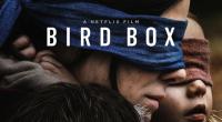 Netflix’s 'Bird Box' draws 80 million viewers