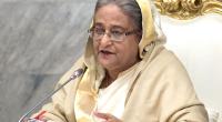 Nusrat murder perpetrators will not be spared: PM Hasina