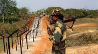 BSF attempts to force Rohingyas through B’baria border