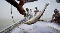Bangladesh imposes 65-day fishing ban in Bay of Bengal