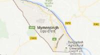 Two killed as truck falls into ditch in Mymensingh