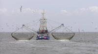 Govt mulls support for marine fishing