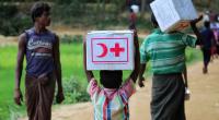 Half million Rohingyas in cyclone risk: IFRC