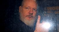 Swedish prosecutor files request for Assange's arrest