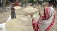 Regulatory duty on rice import hiked by 25%