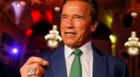 Schwarzenegger struck by flying kick