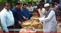 Rajshahi DC buys rice directly from farmers