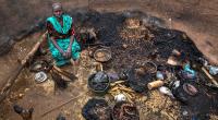 UN says it confirms 17 deaths in Sudan's Darfur