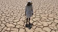 Heatwave kills 40 in Bihar in a day