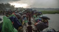 Bangladesh, UNHCR to survey Rohingya regarding return