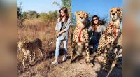 Kriti Sanon under fire for photos with Cheetah