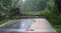 Two die as landslide crushes three-wheeler in Rangamati