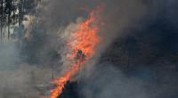 Massive wildfire sweeps Portugal