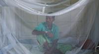 Dengue outbreak: Salute to hospital staff
