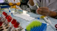 'Dengue test kits being developed in Bangladesh'