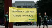 Eat less meat to curb global warming: UN