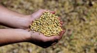 US soybeans surplus is good news for Bangladesh