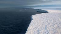 Humans cause Antarctic ice melt: Study