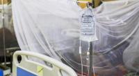 Hospitals admit 128 dengue patients in 24 hrs