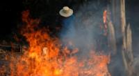 Amazon burning: Brazil reports record forest fires