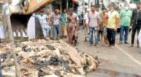 Sylhet tanners yet to purchase scores of rawhide