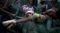Rohingya villages destroyed for Myanmar govt facilities